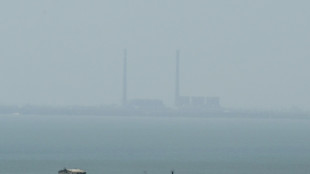 Ukraine: les risques "augmentent chaque jour" &agrave; la centrale nucl&eacute;aire de Zaporijjia