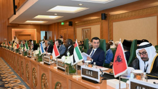 Muslim nations adopt Arab alternative to Trump's Gaza plan