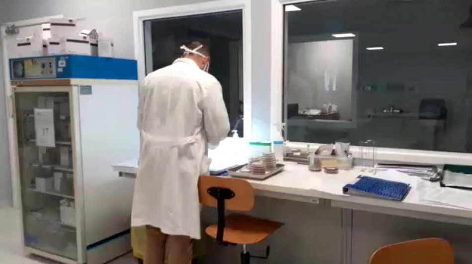 Pronto il bioreattore che riproduce i tumori in laboratorio