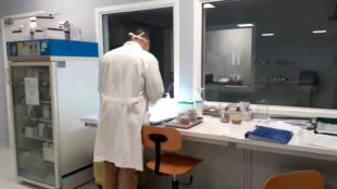 Pronto il metabot, che sfuma i confini tra materiali e robot