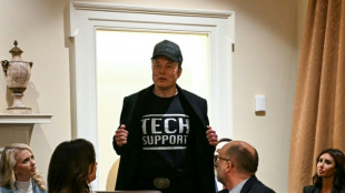 Musk sugere aumentar o sal&aacute;rio dos congressistas em meio a cortes dr&aacute;sticos