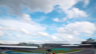 Title-leader Norris grabs Sao Paulo Grand Prix pole