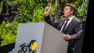 Presidente tv pubblica francese e sindaco Nizza fermati