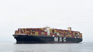 L&auml;rm beeinflusst auch das Leben von Muscheln und W&uuml;rmern am Meeresboden