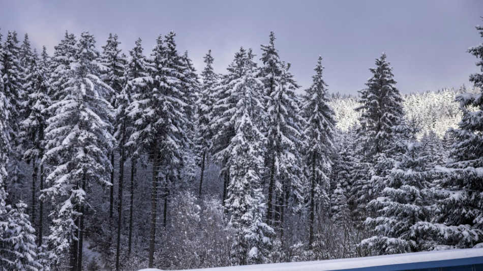 Skeleton: Kreher f&auml;hrt ohne Weltcupsieg zum WM-Titel