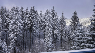 Skeleton: Kreher f&auml;hrt ohne Weltcupsieg zum WM-Titel