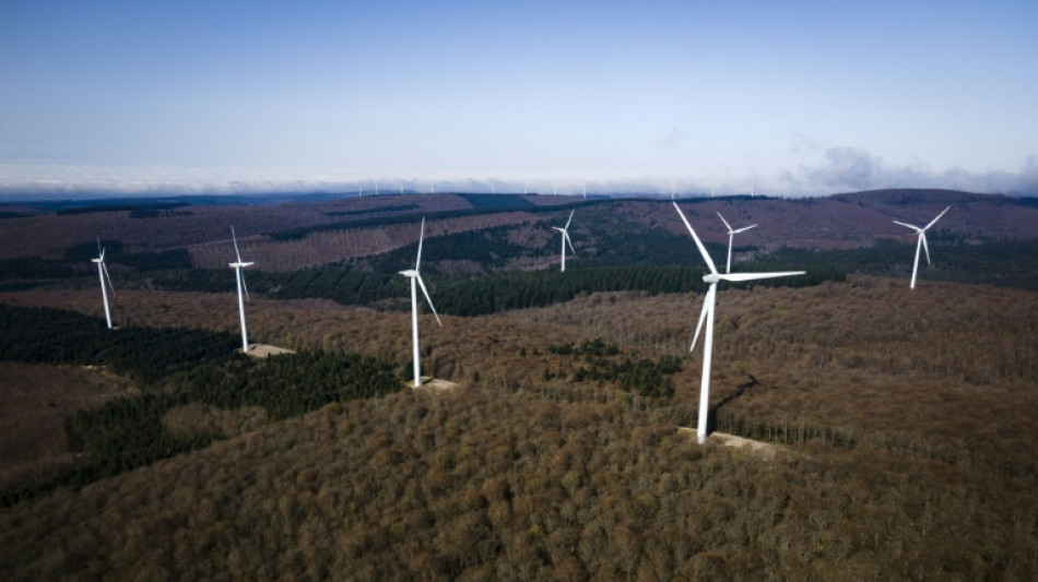 Energies renouvelables: les macronistes se tournent vers la gauche de l'Assembl&eacute;e