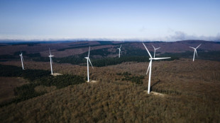 Energies renouvelables: les macronistes se tournent vers la gauche de l'Assembl&eacute;e