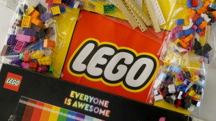 2024, une ann&eacute;e "record" pour Lego