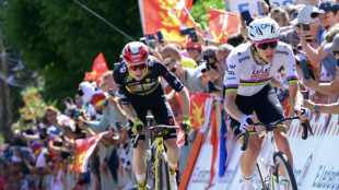 Pogacar fliegt zur&uuml;ck in Gelb - Lipowitz gl&auml;nzt als Dritter