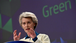 Bruxelles veut autoriser des aides d'&Eacute;tat pour la transition verte