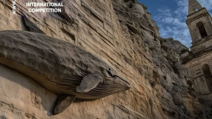 Matera Film Festival, attenzione speciale per il Mediterraneo