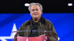 Un saludo de Bannon considerado nazi desata pol&eacute;mica
