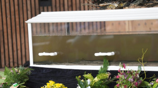 Au Danemark, les "fun&eacute;railles" d'un fjord