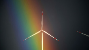 Wirtschaft warnt vor zu strengen EU-Vorgaben f&uuml;r gr&uuml;nen Wasserstoff