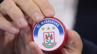 Magdeburg trifft auf Lemgo - Flensburg gegen die L&ouml;wen