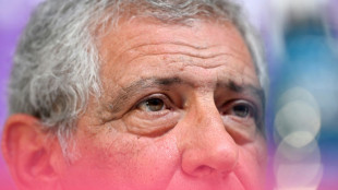 Portugal coach Santos 'not happy' with Ronaldo World Cup gesture