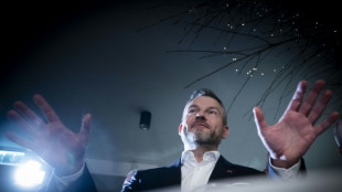 Teilergebnisse: Stichwahl um Pr&auml;sidentenamt in Slowakei n&ouml;tig