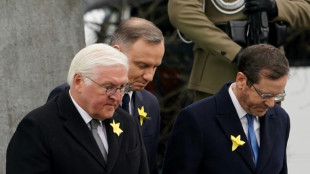 80e anniversaire du soul&egrave;vement du ghetto de Varsovie: l'Allemagne demande "pardon"