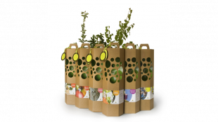 Fünf Bäume für ein Leben