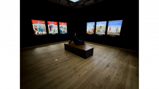 Konturenstrahler: Pr&auml;zise Lichtakzente f&uuml;r die Kunst