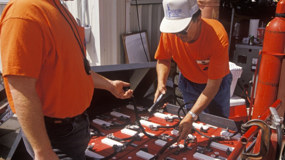 120,000 Bees Bring the Flower Power in New Zealand's First Mobile Hive