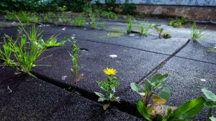 Converters Expo South Returns to the Charlotte Convention Center