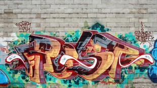 Kaya Holdings, Inc. Engages Greentree Financial Group and Conduit Advisors to Assist with Development of Cryptocurrency Subsidiary and Implementation of Digital Assets Treasury Strategy